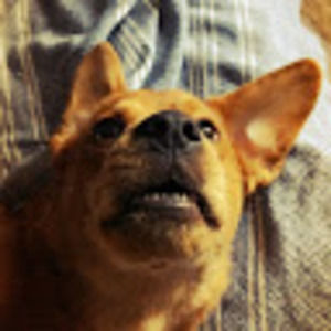 Meet your Posher, Claire